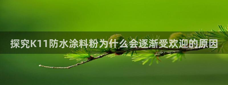 爱游戏官方app平台入口