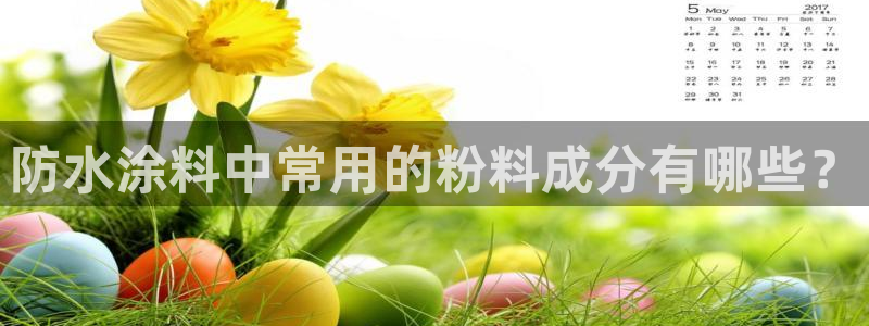 爱游戏电竞官网登录