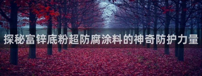 爱游戏棋牌官网