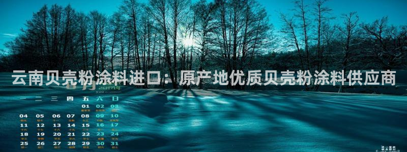 爱游戏app官网信誉好13