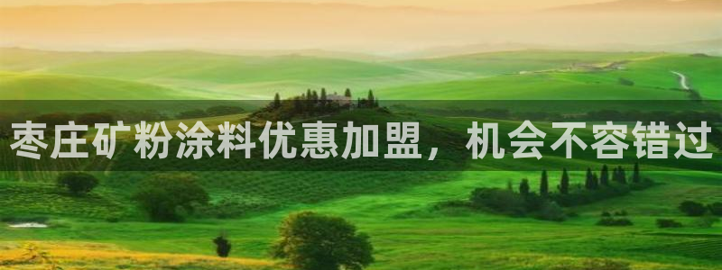 ayx爱游戏官网app：枣庄矿粉涂料优惠