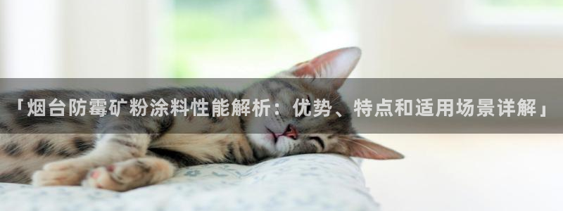 爱游戏app下载官网