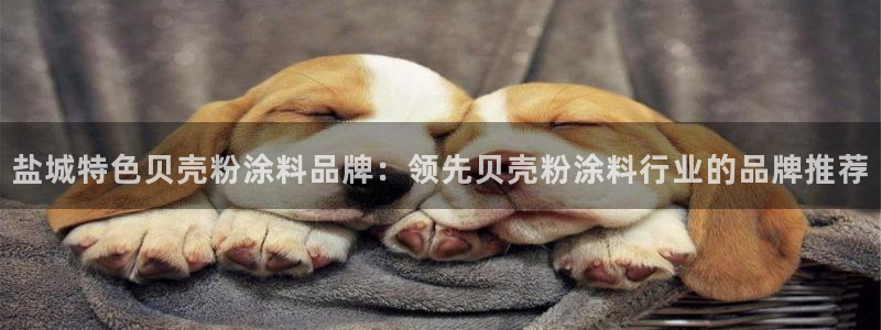 5爱游戏平台