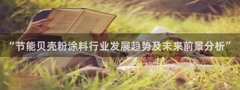 爱游戏app官方入口最新版