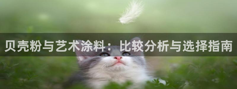 爱游戏娱乐体育官方入口