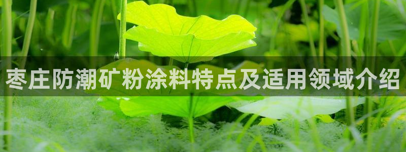 爱游戏平台的