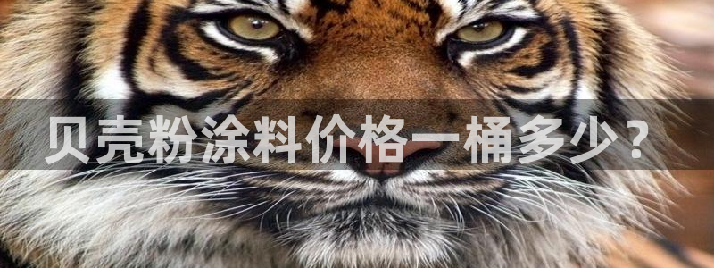 爱游戏全站app官网入口Bom