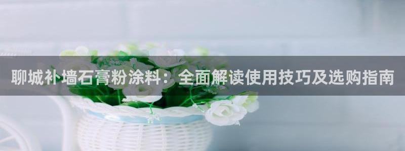 爱游戏官网平台入口ayx