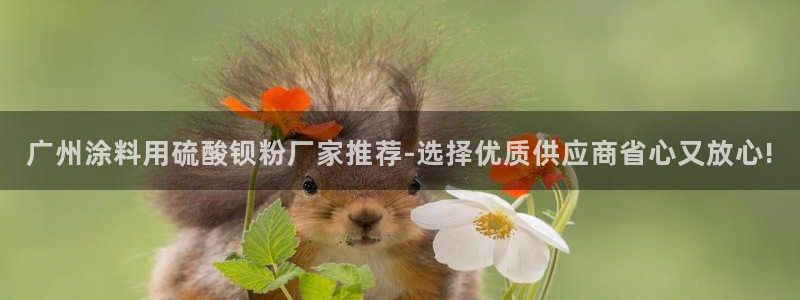 爱游戏百家网站官网