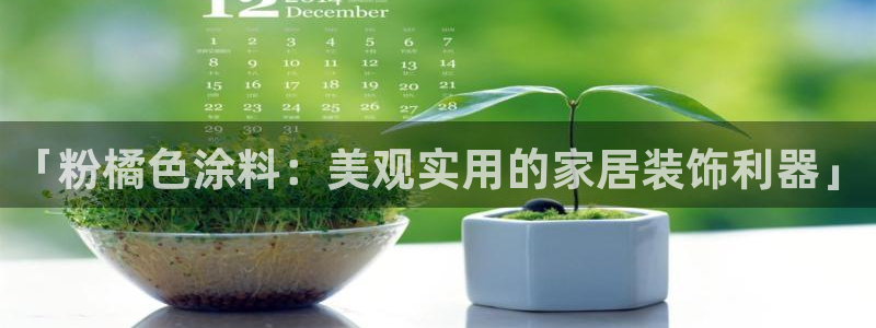 爱游戏全站官网入口
