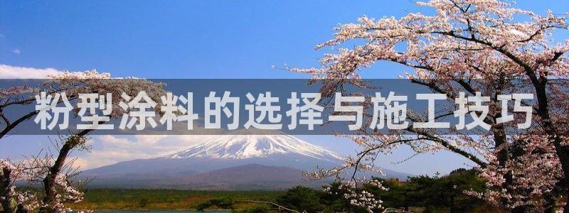 爱游戏301官网