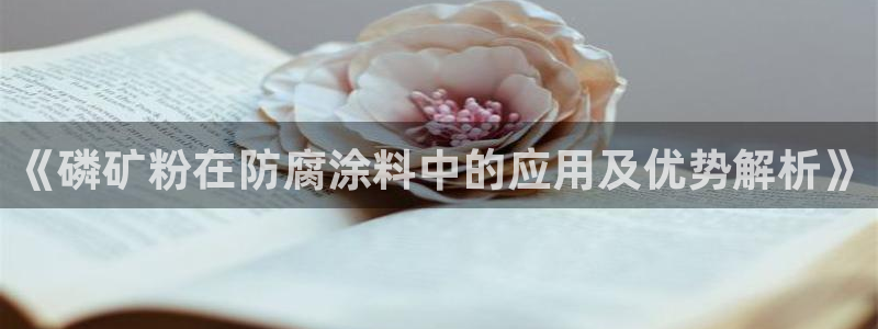 乐鱼爱游戏官网