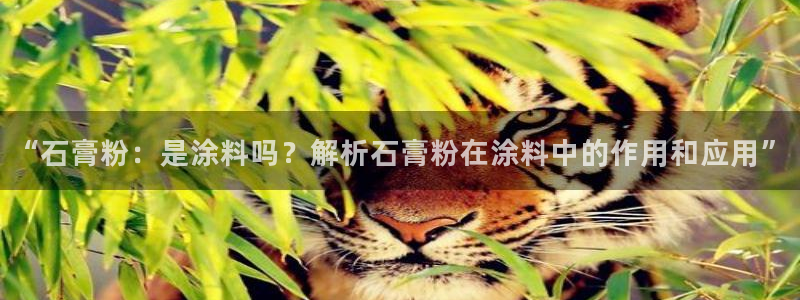 爱游戏app平台官网专业版