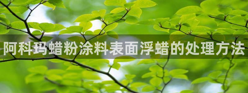 爱游戏app官网有实力0