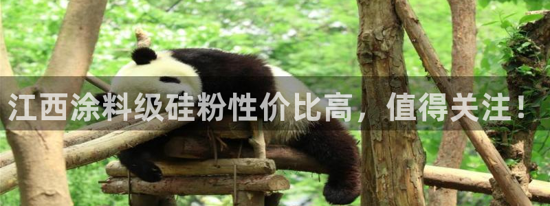 爱游戏全站app在线平台官网