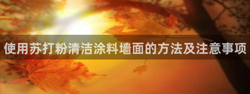 爱游戏平台的