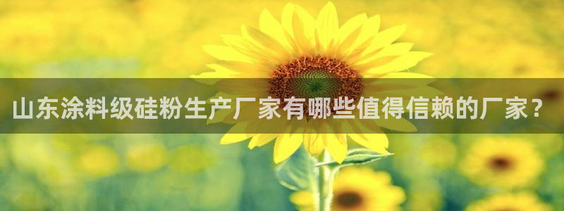 爱游戏ayx官网：山东涂料级硅粉生产厂家