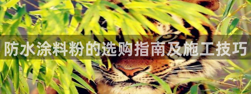 爱游戏电子竞技平台