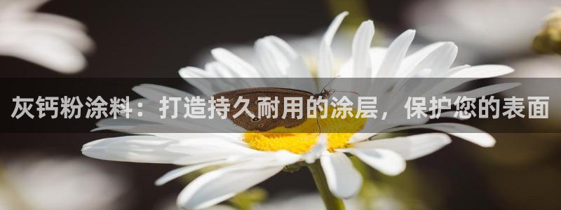 爱游戏电竞官网入口