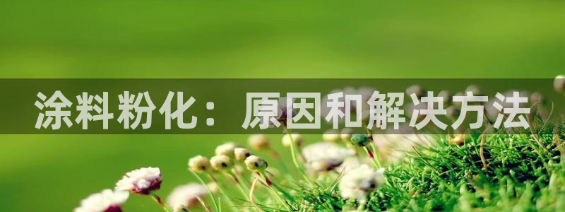 爱游戏app官网登录入口