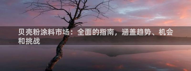 爱游戏电子平台