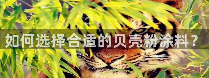 爱游戏平台app官方