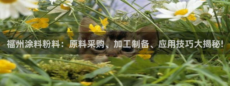爱游戏官网赞助意甲2019