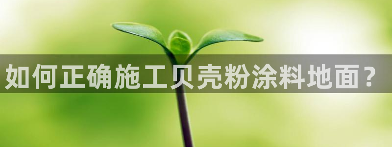 ayx爱游戏官网2021