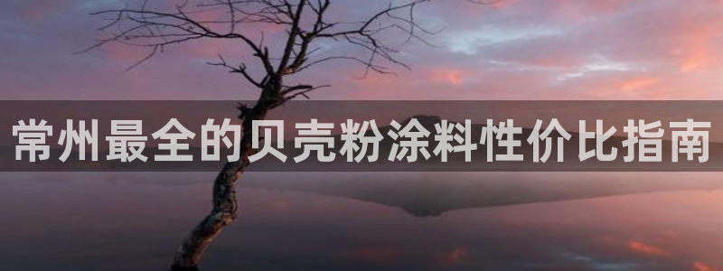 爱游戏官网yb4m代理体系