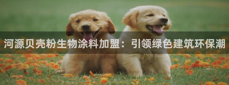 爱游戏官网入口