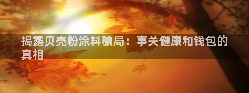 爱游戏app官方入口最新版