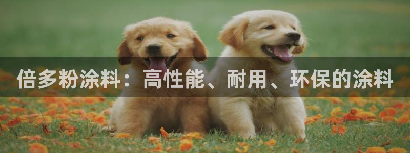 爱游戏官网登录在线入口