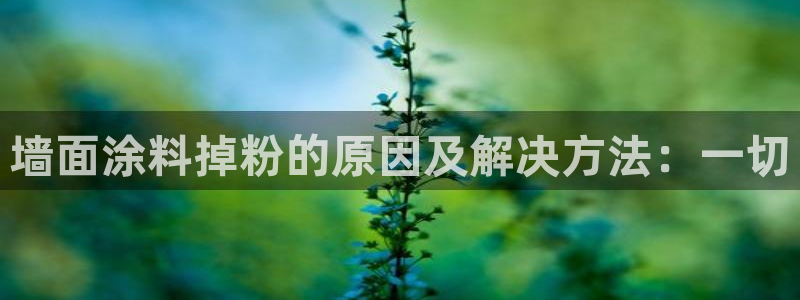 爱游戏官网信誉