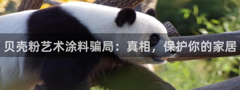 ayx爱游戏平台下载