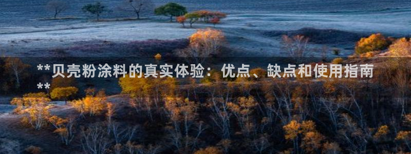 爱游戏官网赞助意甲14