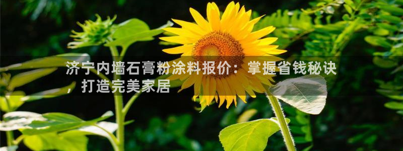 爱游戏娱乐体育官方入口