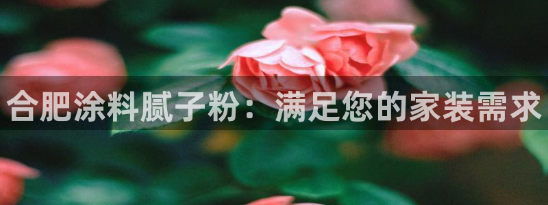 爱游戏官网打开
