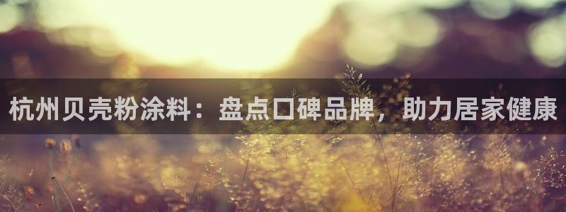 爱游戏娱乐官网信誉好13