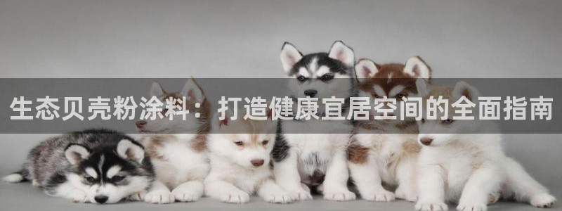 爱游戏电竞平台官网