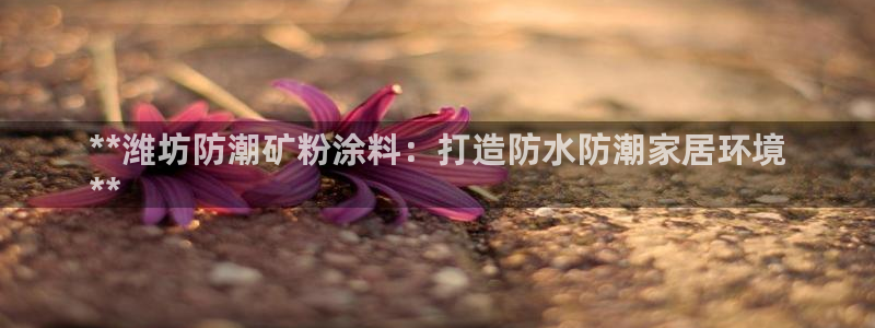ayx爱游戏网页版官网