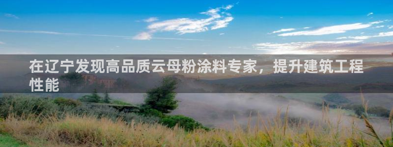 爱游戏足球官网