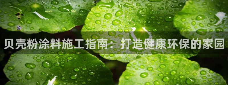 ayx爱游戏网页版官网