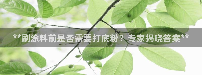 爱游戏是正规平台
