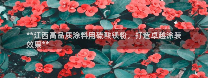 爱游戏平台信誉好