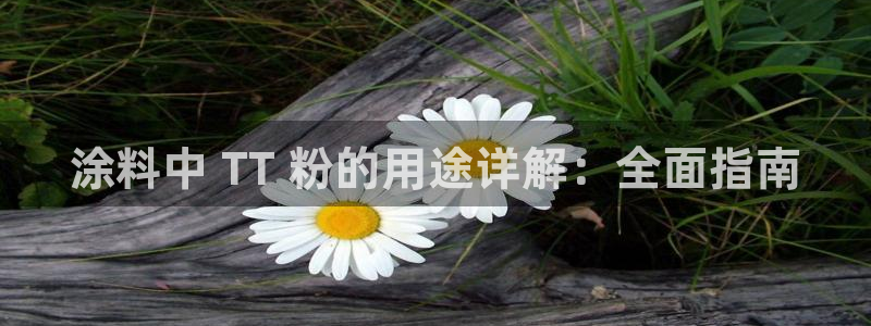 爱游戏电竞平台