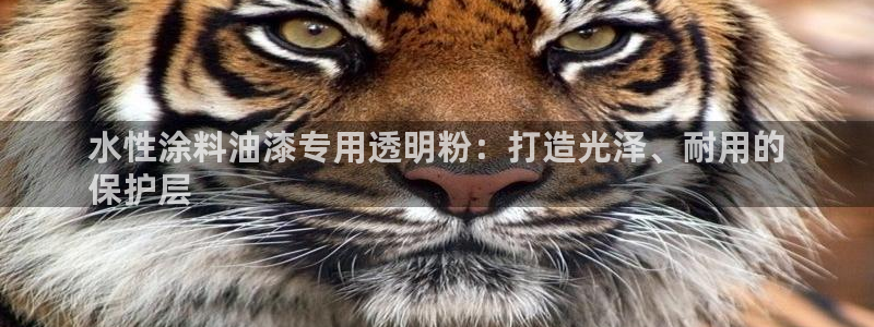 ayx爱游戏app下载官网