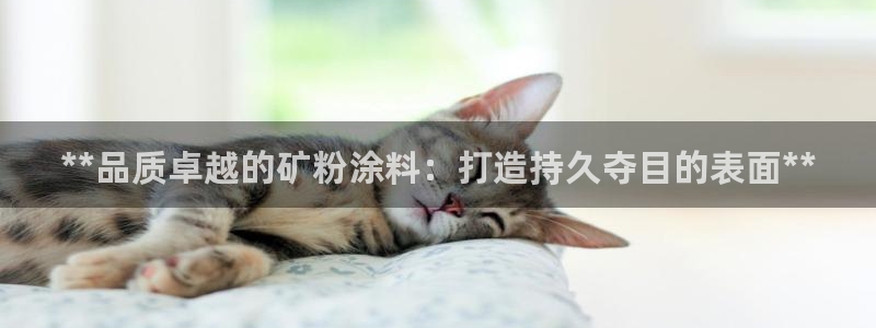 爱游戏官网平台