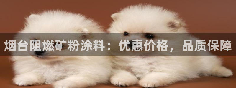 ayx爱游戏官网手机网页版