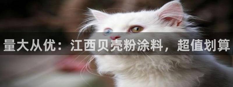 爱游戏爱体育官网