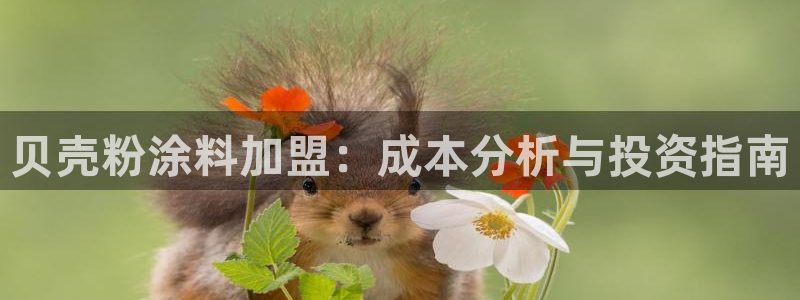 爱游戏娱乐体育官方入口